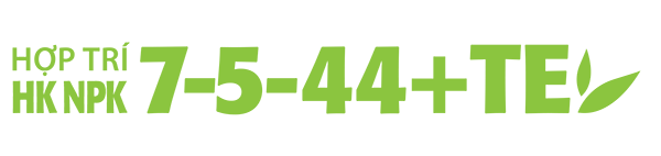 8935209502197 18935209502200 8935209501831 18935209501845 8935209500742 18935209500749