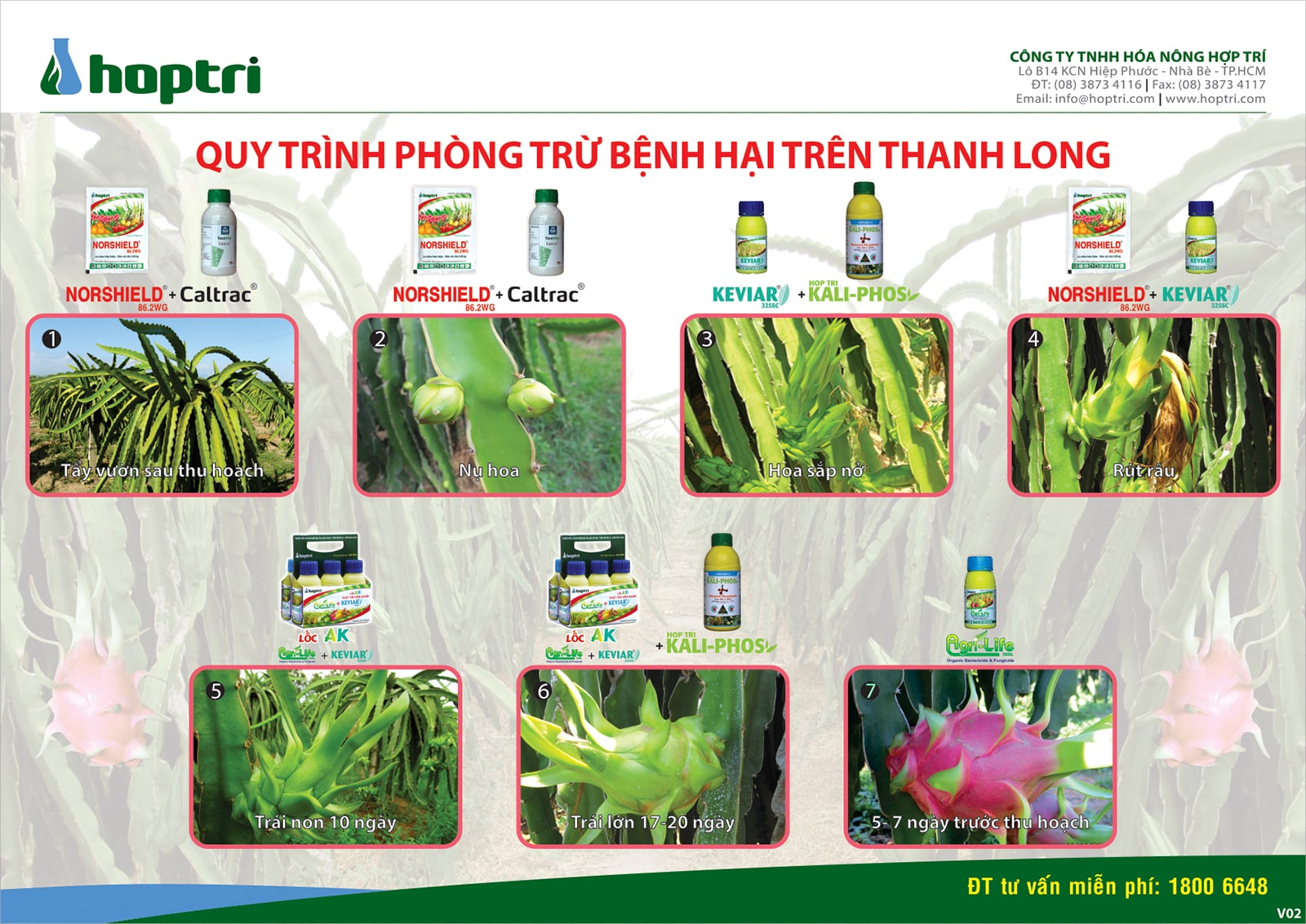 Quy trình phòng trừ bệnh hại trên thanh long từ Hợp Trí 2