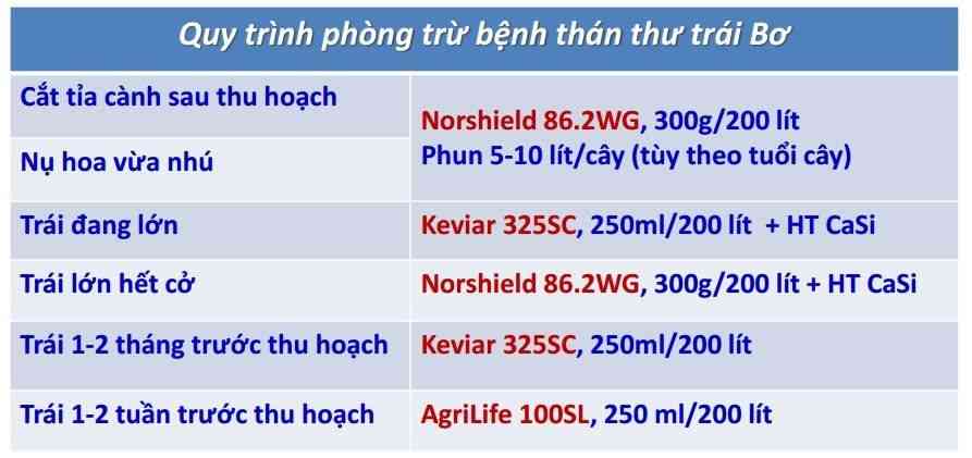 QuyTrinhPhongTruBenhThanThu