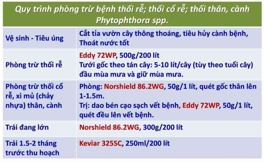 QuyTrinhPhongTruPhytophthora