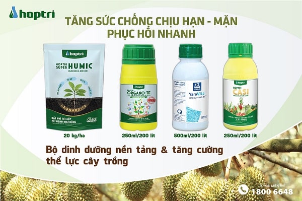 Tăng sức chống chịu hạn mặn, giúp cây trồng phục hồi nhanh