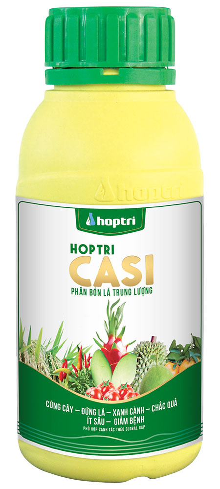 Hợp Trí Casi