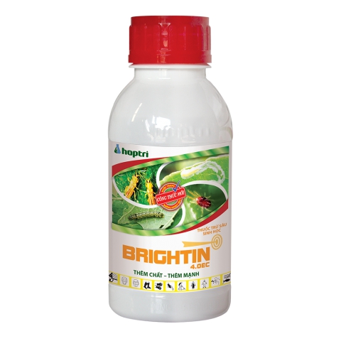 Brightin 4.0EC || 8935209501701