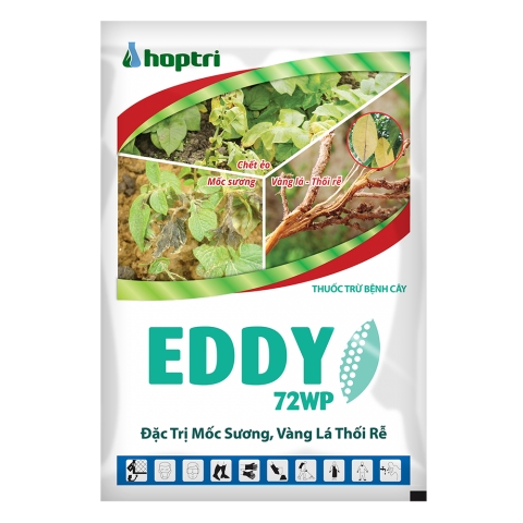 Eddy 72WP