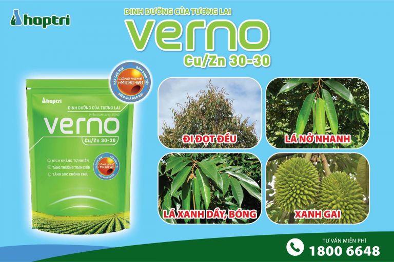 VERNO CU/ZN 30-30: KÍCH TƯỢC – DƯỠNG LÁ – RA HOA ĐỀU TRÊN SẦU RIÊNG