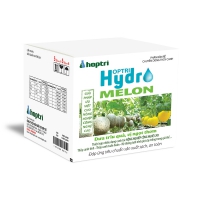 Hợp Trí Hydro Melon