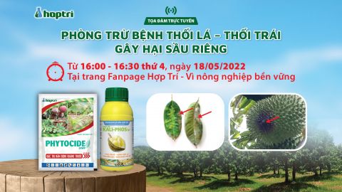 Tọa đàm trực tuyến: PHÒNG TRỪ BỆNH THỐI LÁ - THỐI TRÁI GÂY HẠI SẦU RIÊNG