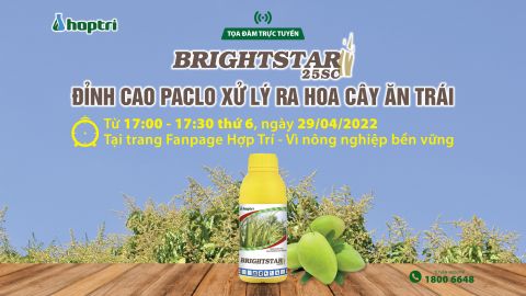 Tọa đàm trực tuyến: BRIGHTSTAR 25SC - ĐỈNH CAO PACLO XỬ LÝ RA HOA CÂY ĂN TRÁI