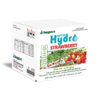 Hợp Trí Hydro Strawberry